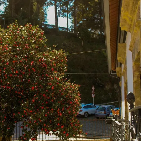 Vale Do Ceira Góis