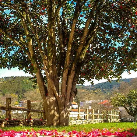 Gospodarstwo agroturystyczne Vale Do Ceira