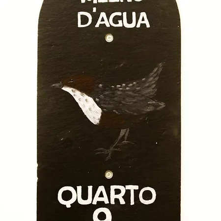 Vale Do Ceira Farma *