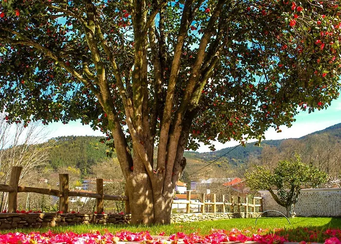 Farmház Vale Do Ceira